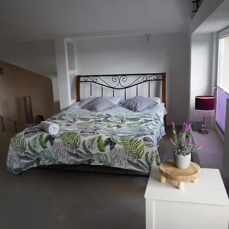 Leśna Pustać Pensjonat *