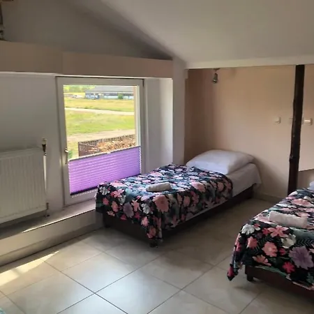 Leśna Pustać Pensjonat *