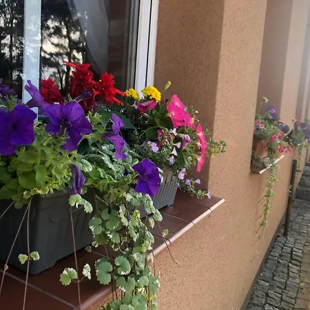 Leśna Pustać Borne Sulinowo